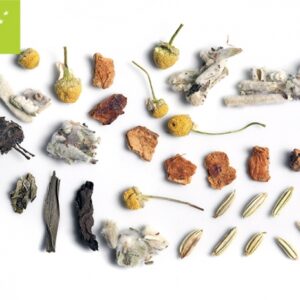 11-084 ΤΣΑΙ TEA ROUTE OLYMPOS DETOX 100 gr